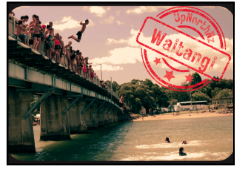 WAITANGI BRIDGE — Up North NZ Apparel